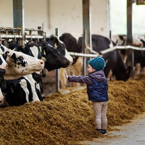 Summit Station Dairy - Farm Tour