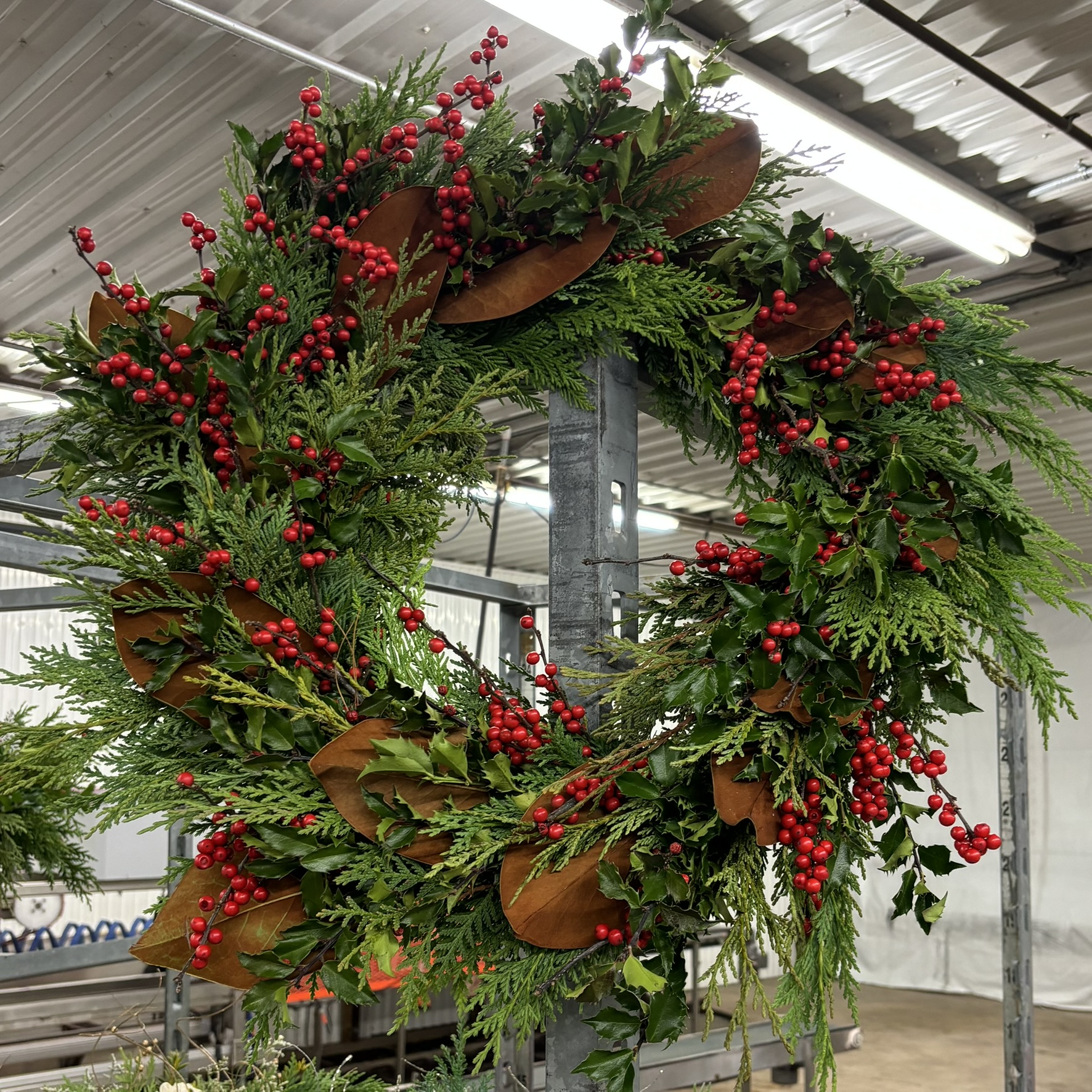 Christmas Wreaths