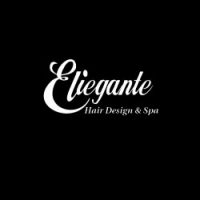 Eliegante logo